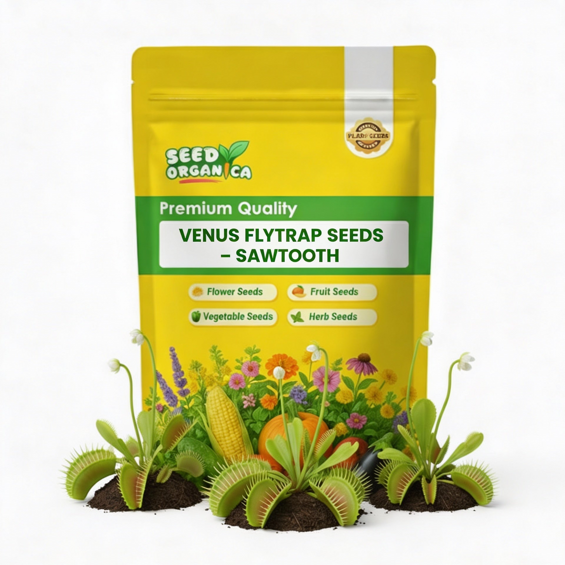 Venus Flytrap Seeds – Sawtooth