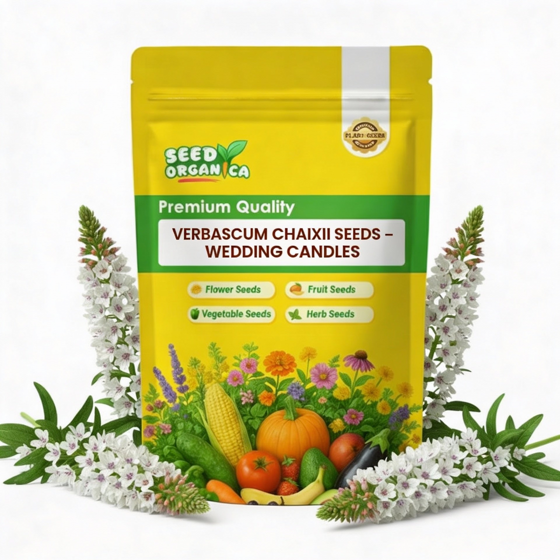 Verbascum Chaixii Seeds – Wedding Candles