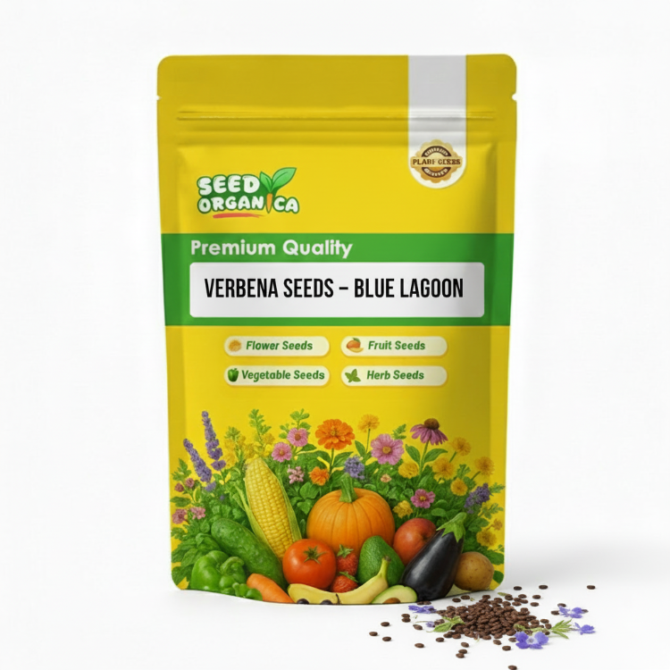 Verbena Seeds – Blue Lagoon