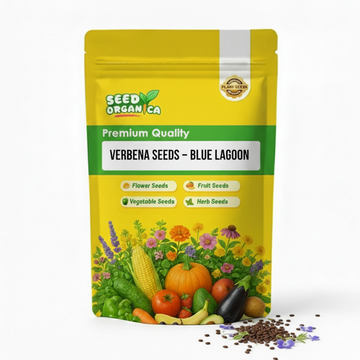 Verbena Seeds – Blue Lagoon