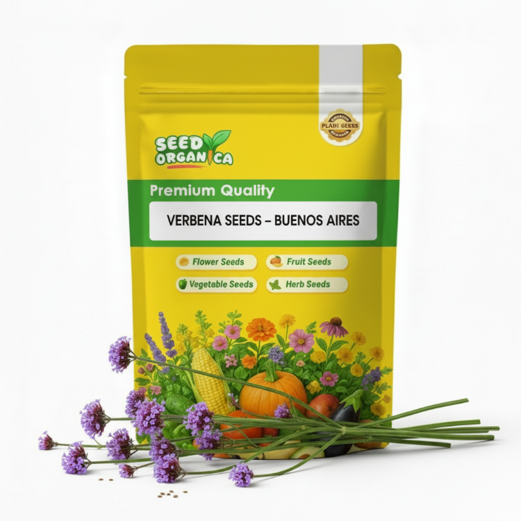 Verbena Seeds – Buenos Aires