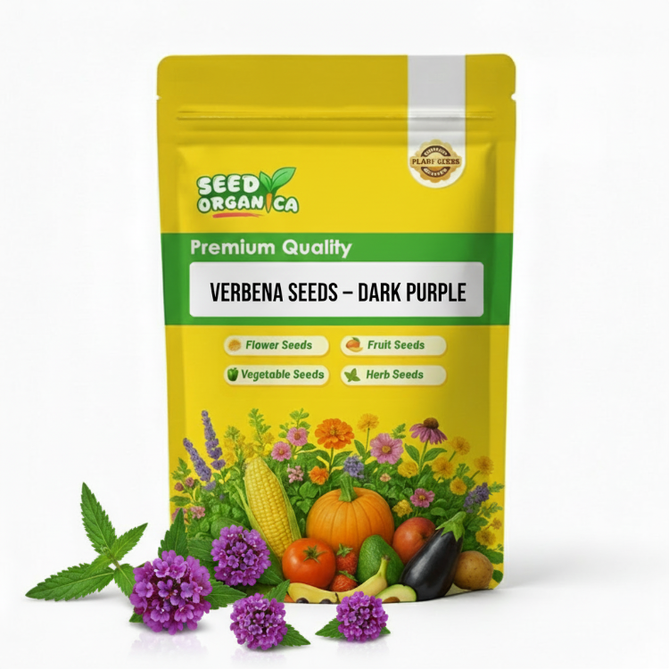 Verbena Seeds – Dark Purple