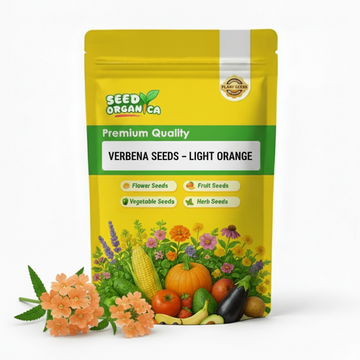 Verbena Seeds – Light Orange