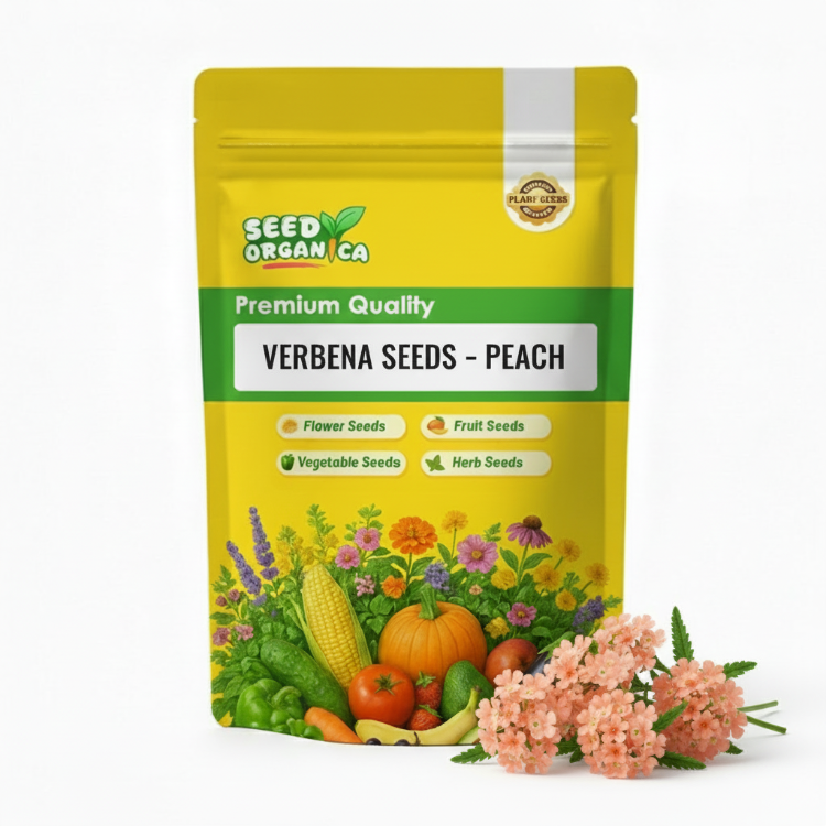 Verbena Seeds – Peach