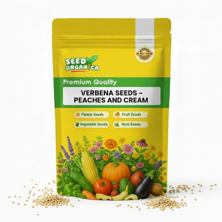 Verbena Seeds – Peaches and Cream