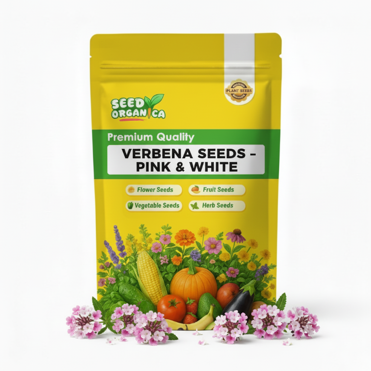 Verbena Seeds – Pink & White