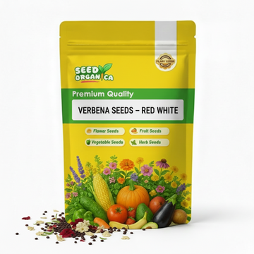 Verbena Seeds – Red White