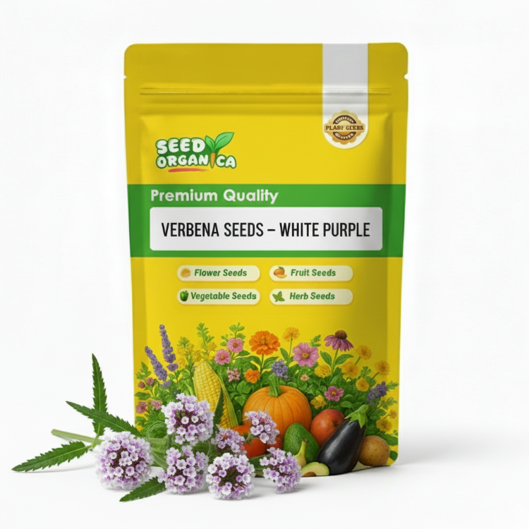 Verbena Seeds – White Purple