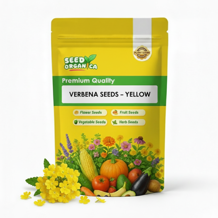 Verbena Seeds – Yellow