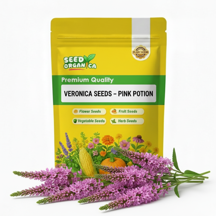 Veronica Seeds – Pink Potion