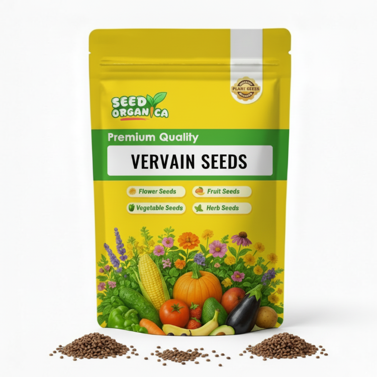 Vervain Seeds