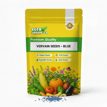 Vervain Seeds – Blue