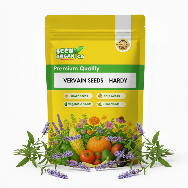 Vervain Seeds – Hardy