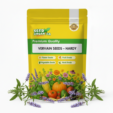 Vervain Seeds – Hardy
