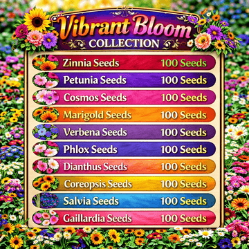Vibrant Bloom Collection Seeds