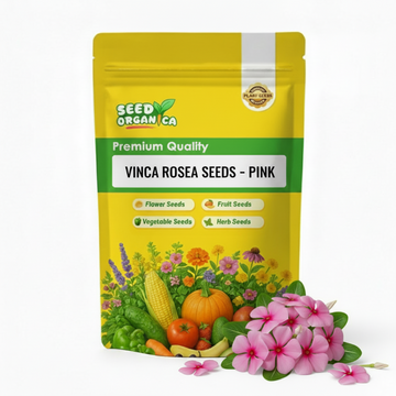Vinca Rosea Seeds – Pink