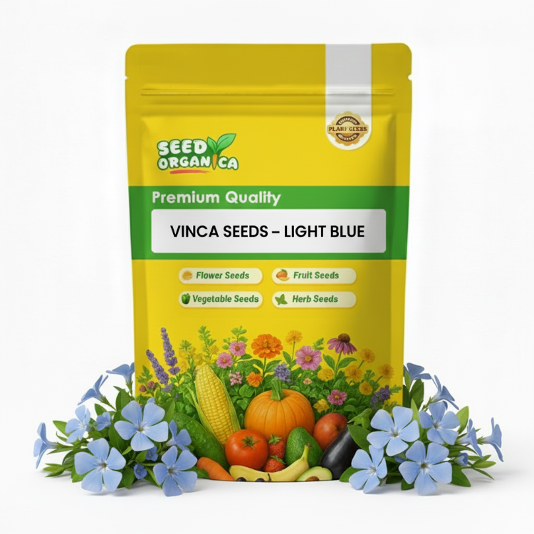 Vinca Seeds – Light Blue