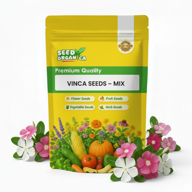 Vinca Seeds – Mix