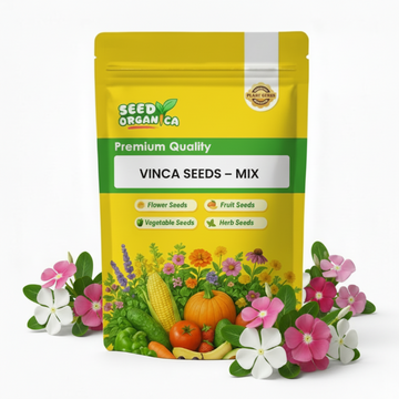 Vinca Seeds – Mix