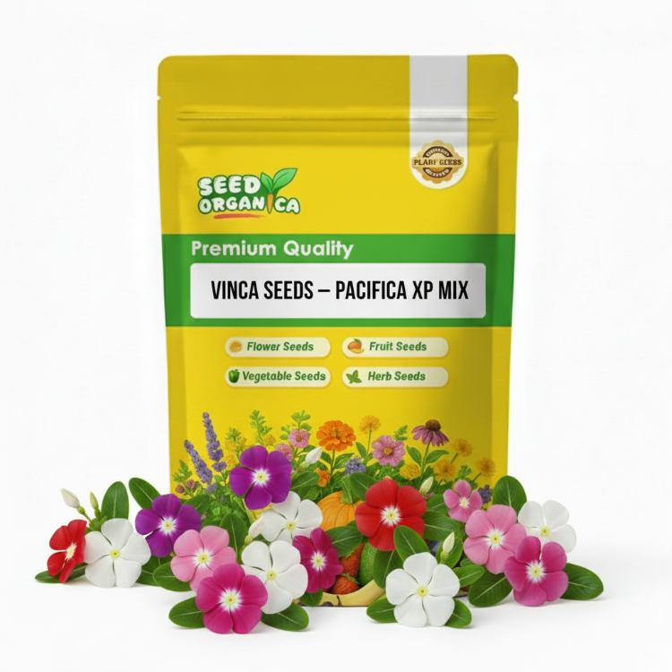 Vinca Seeds – Pacifica XP Mix