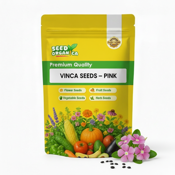 Vinca Seeds – Pink