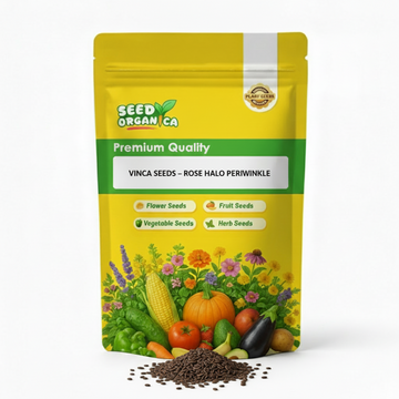 Vinca Seeds – Rose Halo Periwinkle