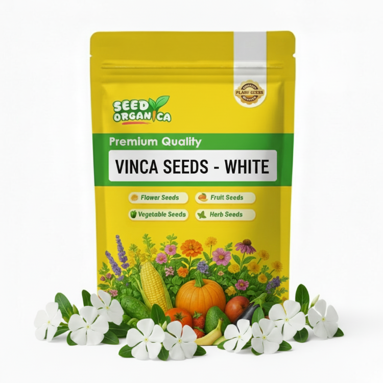 Vinca Seeds – White