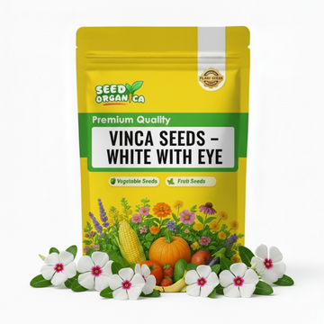Vinca Seeds – White with Eye