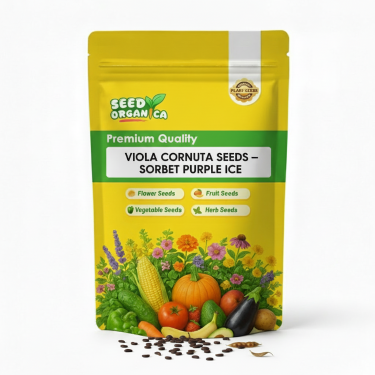 Viola Cornuta Seeds – Sorbet Purple Ice