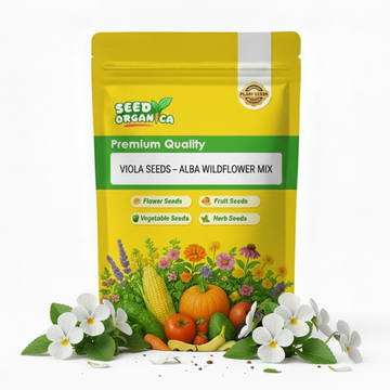 Viola Seeds – Alba Wildflower Mix