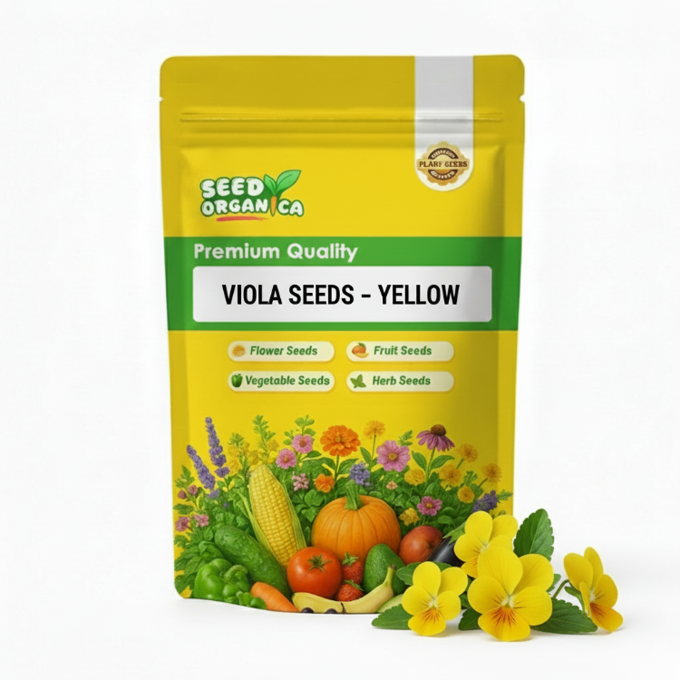 Viola Seeds – Yellow