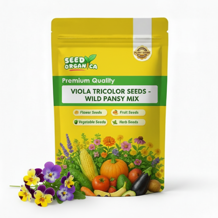 Viola Tricolor Seeds - Wild Pansy Mix