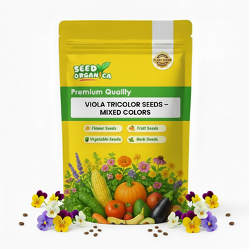 Viola Tricolor Seeds – Mixed Colors