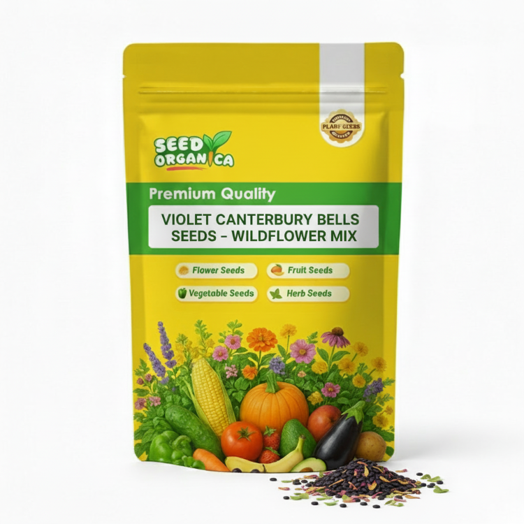 Violet Canterbury Bells Seeds – Wildflower Mix