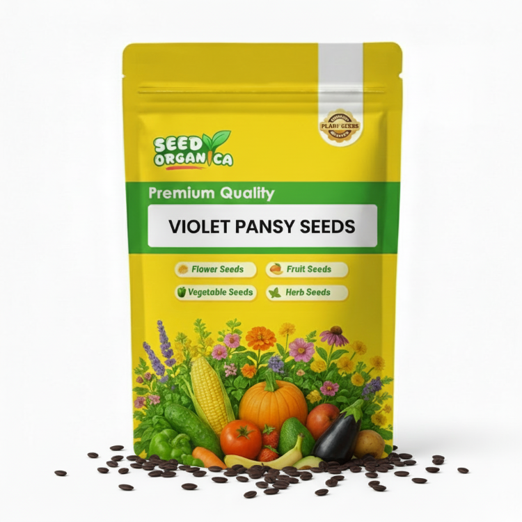 Violet Pansy Seeds