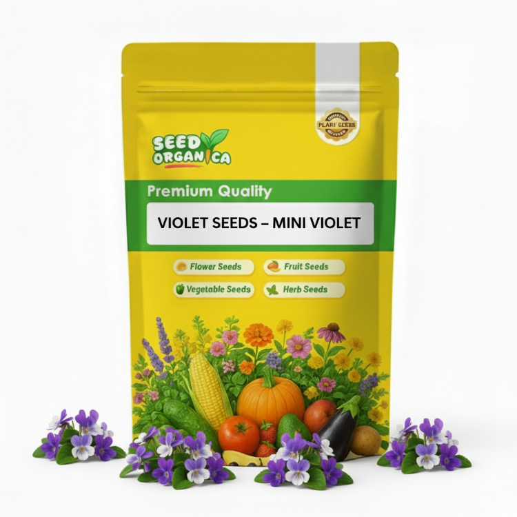 Violet Seeds – Mini Violet