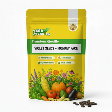 Violet Seeds – Monkey Face