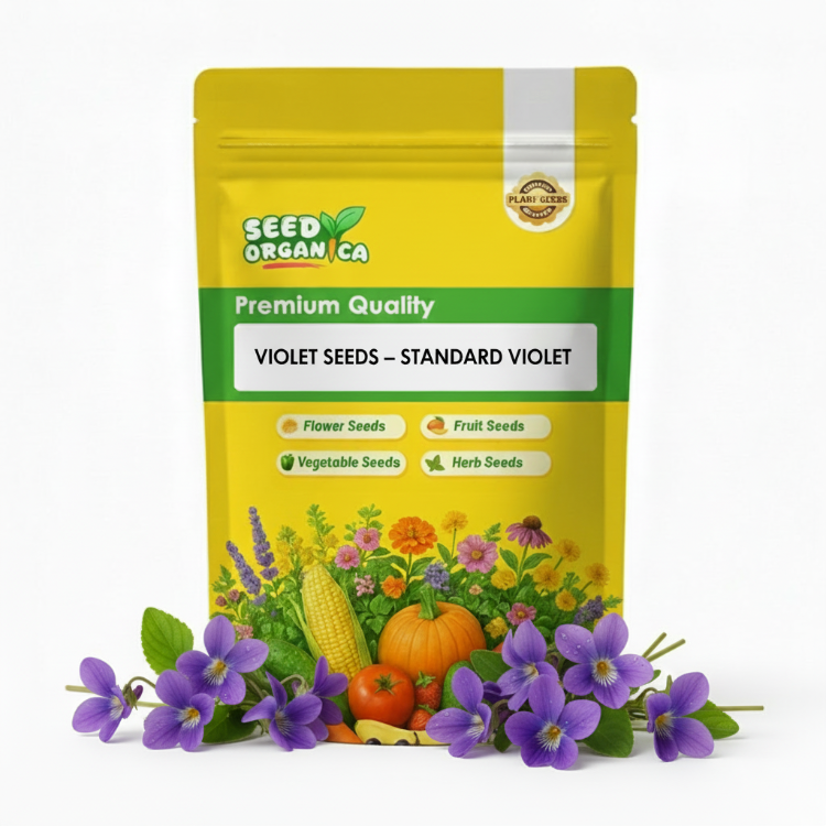 Violet Seeds – Standard Violet