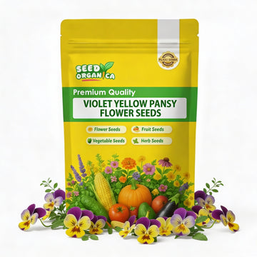 Violet Yellow Pansy Flower seeds