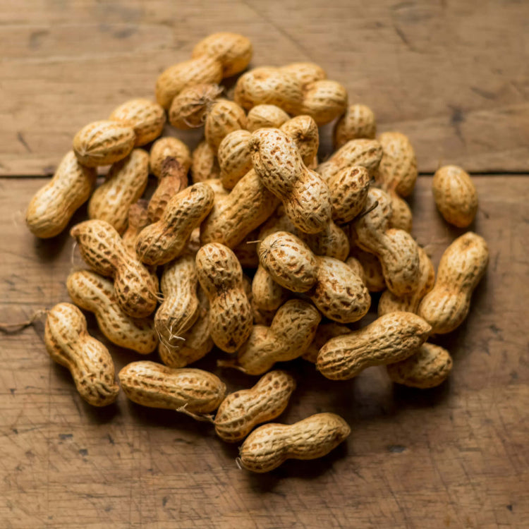 Virginia Peanut Seeds