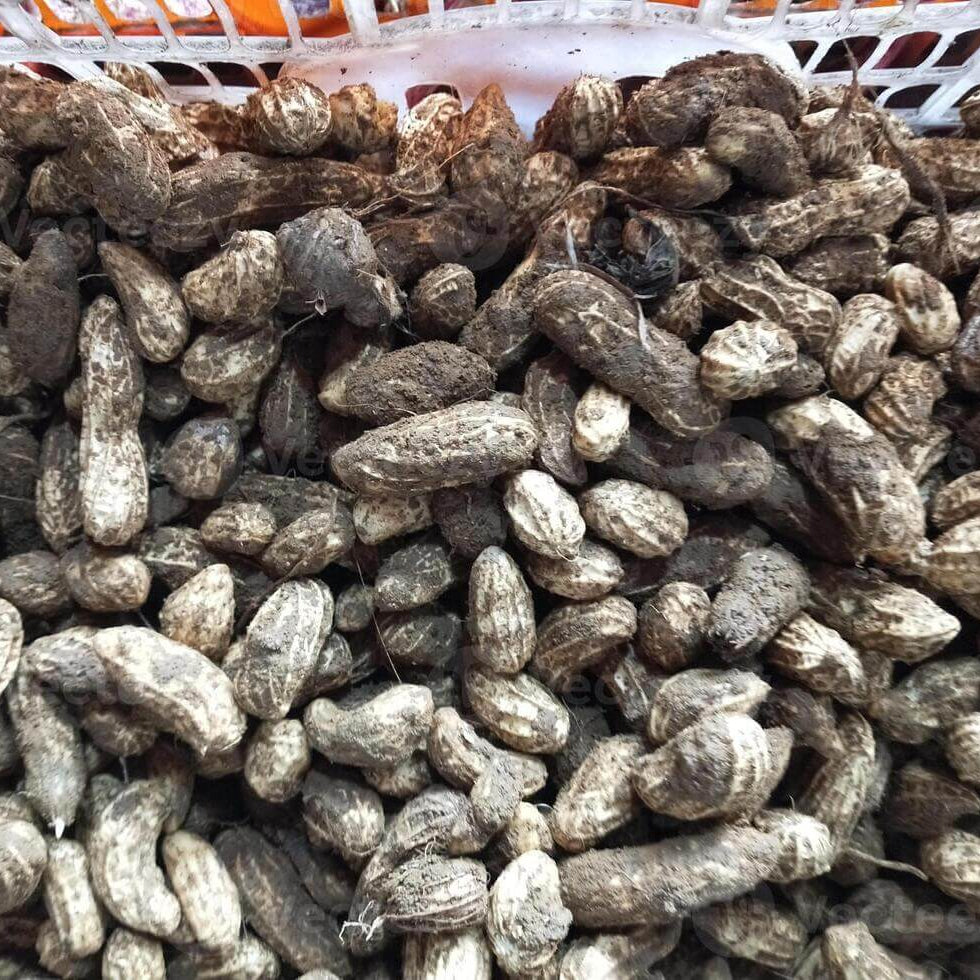 Virginia Peanut Seeds