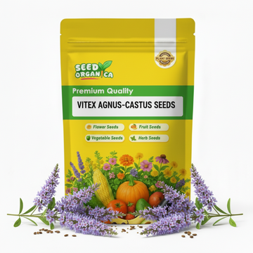 Vitex Agnus-Castus Seeds