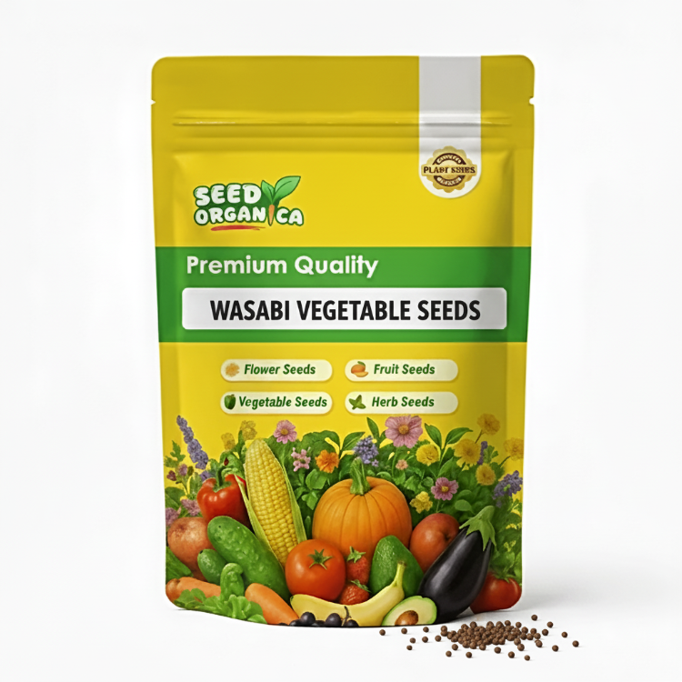 Wasabi_Vegetable_Seeds
