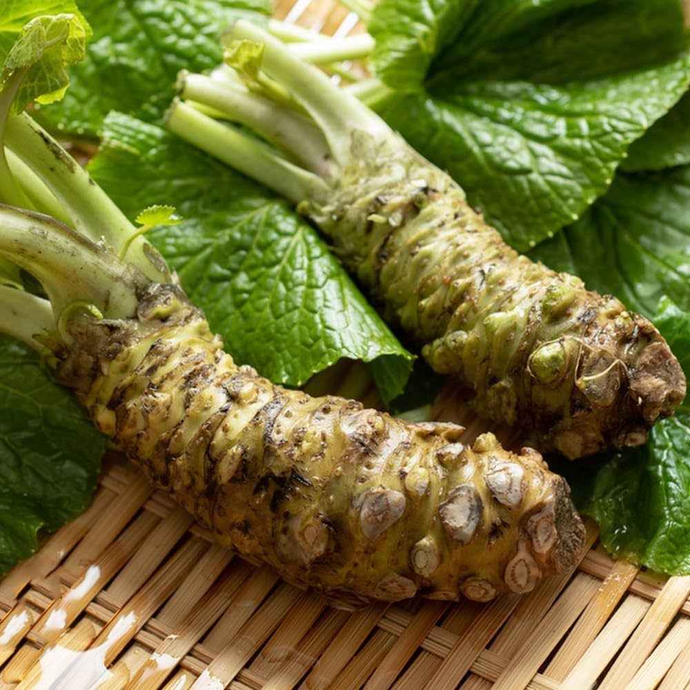 Wasabi Vegetable Seeds
