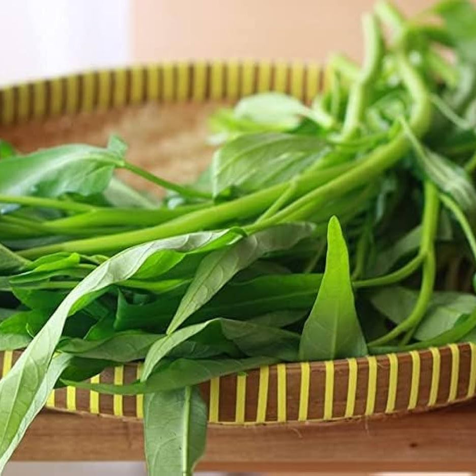 Water Spinach Seeds – Kong Xin Cai 
