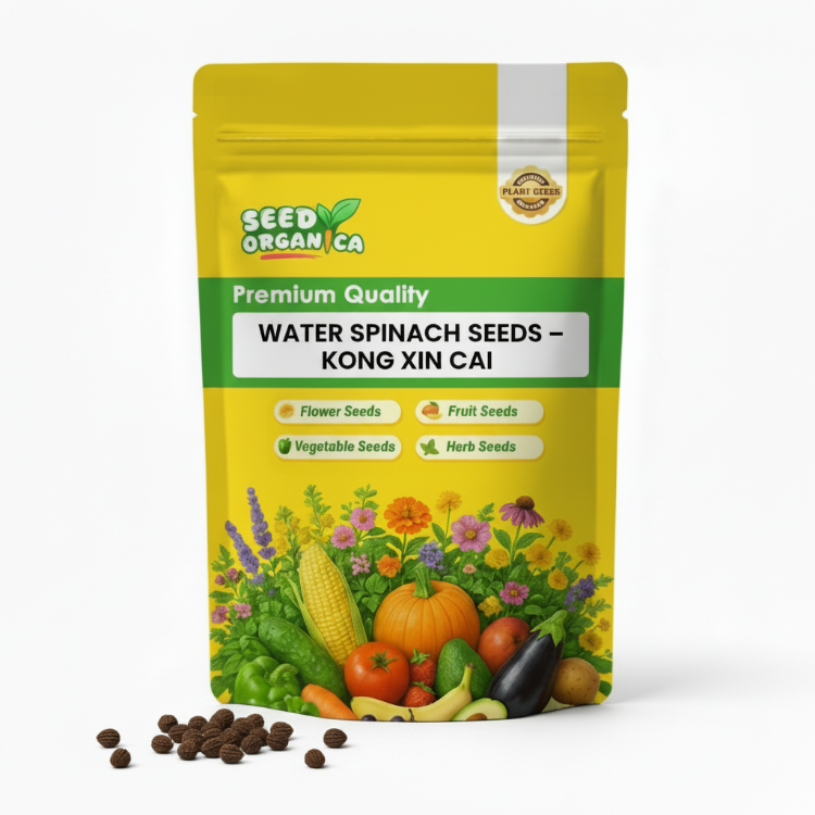 Water Spinach Seeds – Kong Xin Cai