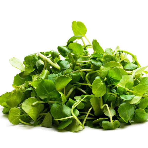 Watercress Seeds