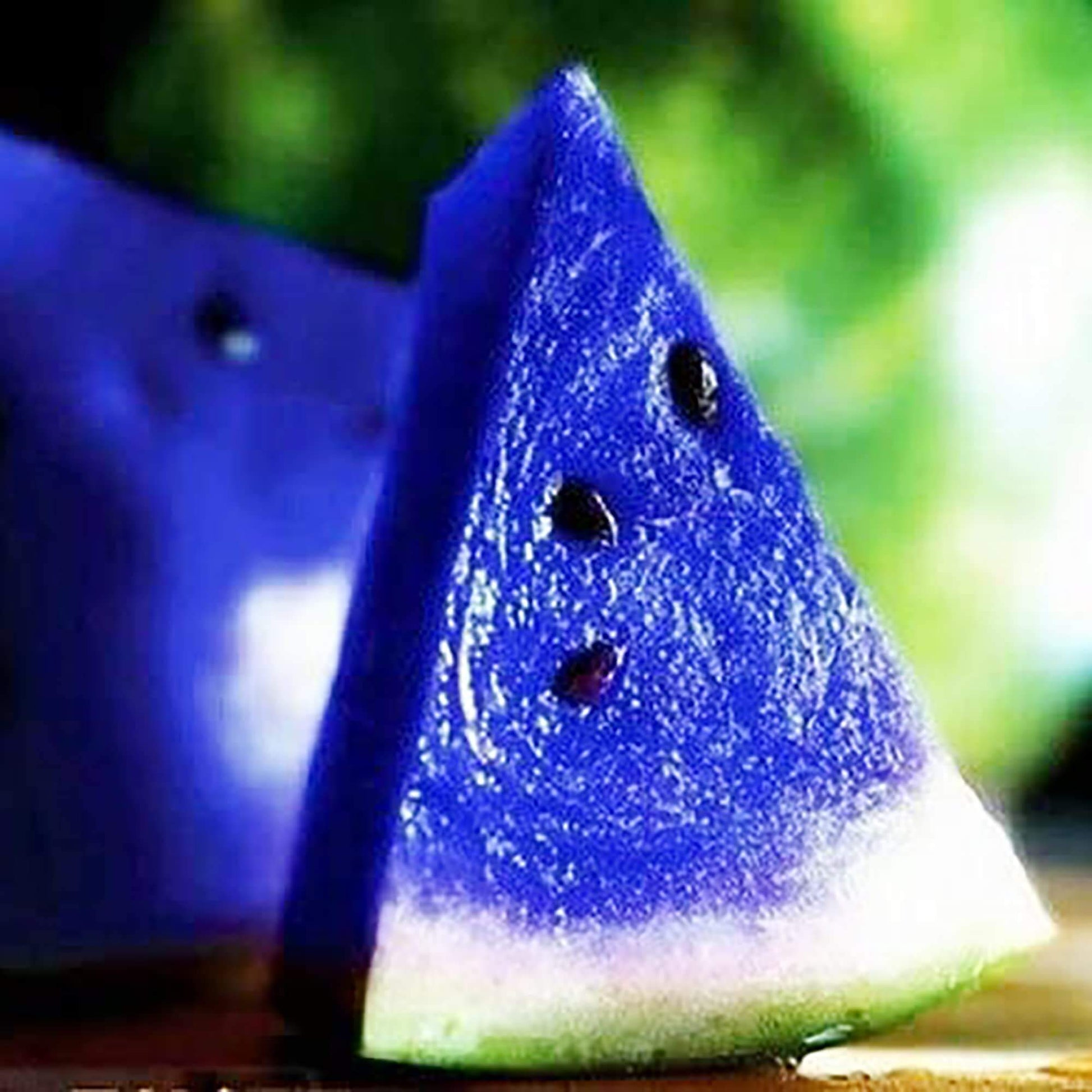 Watermelon Seeds – Blue