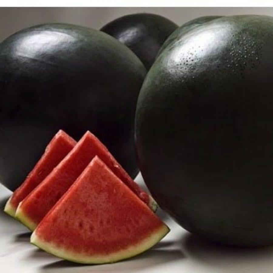 Watermelon Seeds – Densuke Black Rind