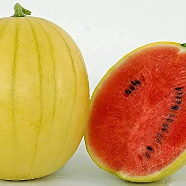 Watermelon Seeds – Golden Pioneer Hybrid
